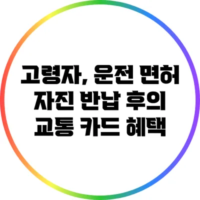 고령자, 운전 면허 자진 반납 후의 교통 카드 혜택