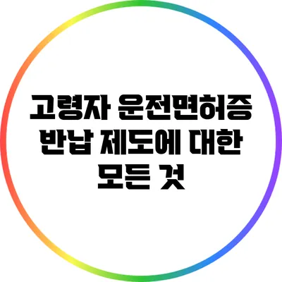 고령자 운전면허증 반납 제도에 대한 모든 것