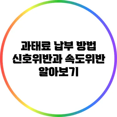 과태료 납부 방법: 신호위반과 속도위반 알아보기