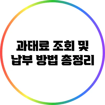 과태료 조회 및 납부 방법 총정리