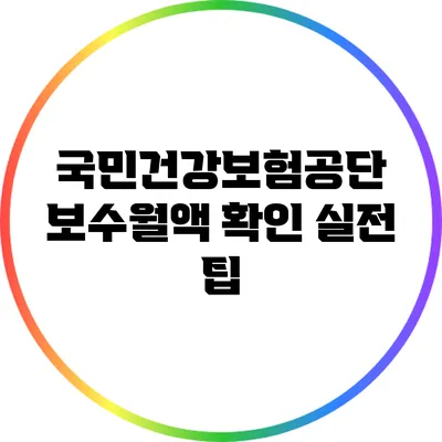 국민건강보험공단 보수월액 확인 실전 팁