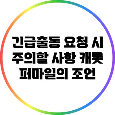 긴급출동 요청 시 주의할 사항: 캐롯 퍼마일의 조언