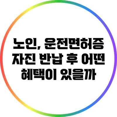 노인, 운전면허증 자진 반납 후 어떤 혜택이 있을까?