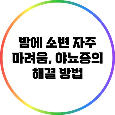 밤에 소변 자주 마려움, 야뇨증의 해결 방법