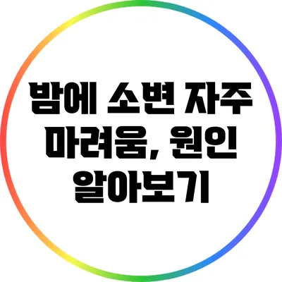 밤에 소변 자주 마려움, 원인 알아보기