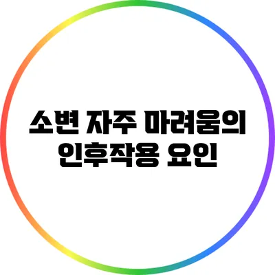 소변 자주 마려움의 인후작용 요인