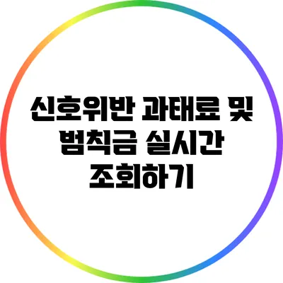 신호위반 과태료 및 범칙금 실시간 조회하기