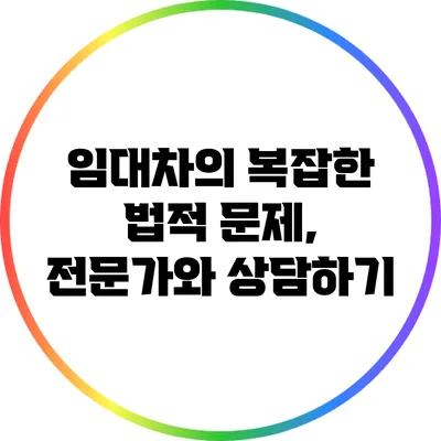 임대차의 복잡한 법적 문제, 전문가와 상담하기