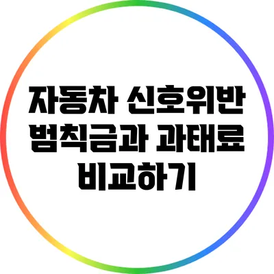 자동차 신호위반 범칙금과 과태료 비교하기