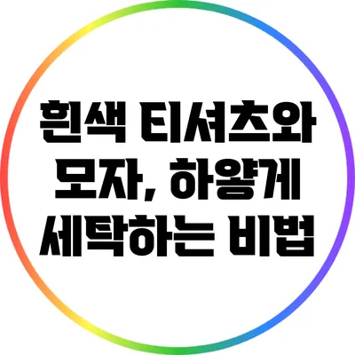 흰색 티셔츠와 모자, 하얗게 세탁하는 비법