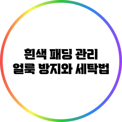 흰색 패딩 관리: 얼룩 방지와 세탁법