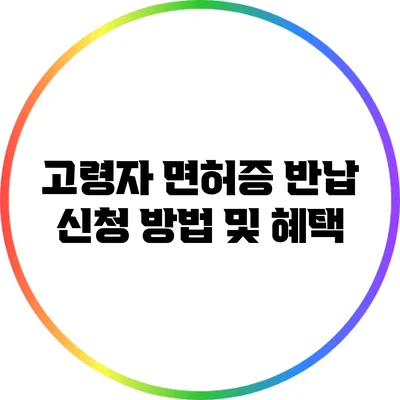 고령자 면허증 반납 신청 방법 및 혜택