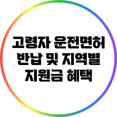 고령자 운전면허 반납 및 지역별 지원금 혜택