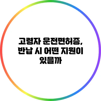 고령자 운전면허증, 반납 시 어떤 지원이 있을까?