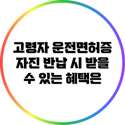 고령자 운전면허증 자진 반납 시 받을 수 있는 혜택은?