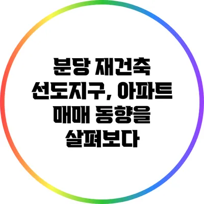 분당 재건축 선도지구, 아파트 매매 동향을 살펴보다