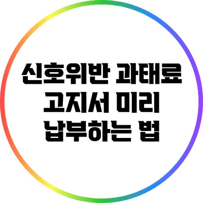 신호위반 과태료 고지서 미리 납부하는 법