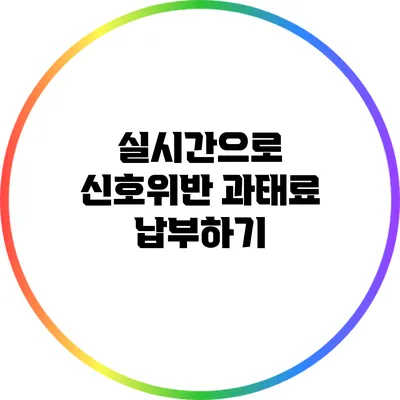 실시간으로 신호위반 과태료 납부하기