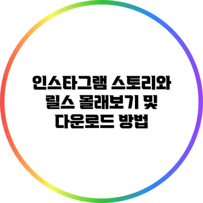 인스타그램 스토리와 릴스 몰래보기 및 다운로드 방법