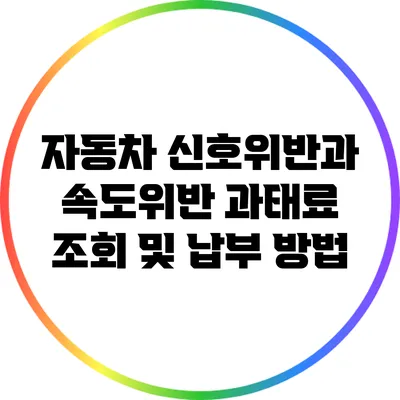 자동차 신호위반과 속도위반 과태료 조회 및 납부 방법