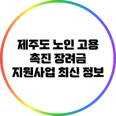 제주도 노인 고용 촉진 장려금 지원사업 최신 정보