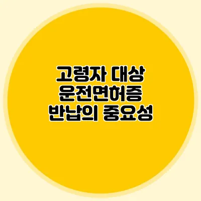 고령자 대상 운전면허증 반납의 중요성
