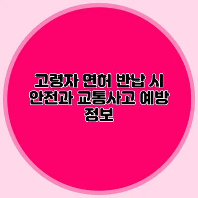 고령자 면허 반납 시 안전과 교통사고 예방 정보