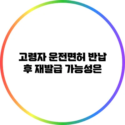 고령자 운전면허 반납 후 재발급 가능성은?