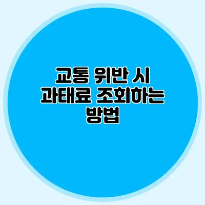 교통 위반 시 과태료 조회하는 방법