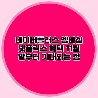 네이버플러스 멤버십 넷플릭스 혜택: 11월 말부터 기대되는 점