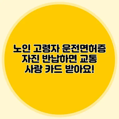 노인 고령자 운전면허증 자진 반납하면 교통 사랑 카드 받아요!