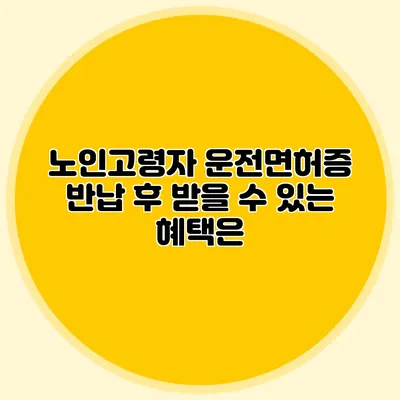 노인고령자 운전면허증 반납 후 받을 수 있는 혜택은?