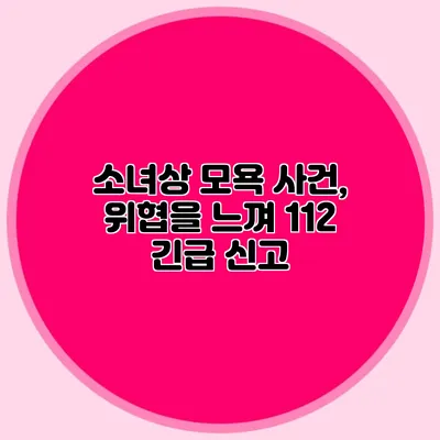 소녀상 모욕 사건, 위협을 느껴 112 긴급 신고