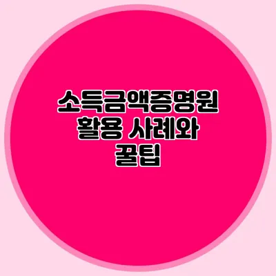 소득금액증명원 활용 사례와 꿀팁