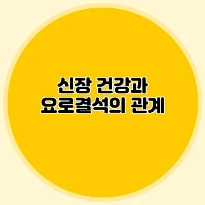 신장 건강과 요로결석의 관계