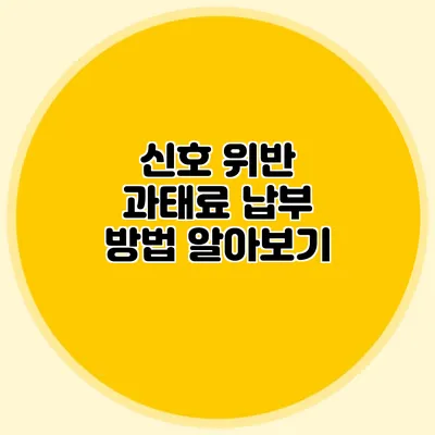 신호 위반 과태료 납부 방법 알아보기