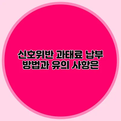 신호위반 과태료 납부 방법과 유의 사항은?