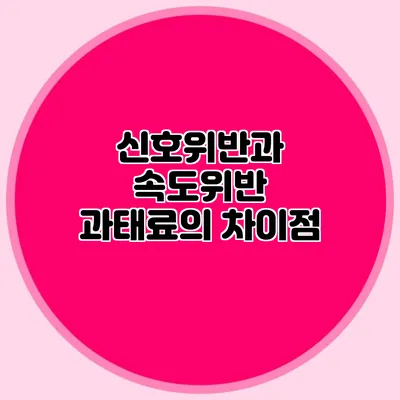 신호위반과 속도위반 과태료의 차이점
