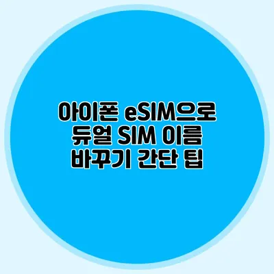 아이폰 eSIM으로 듀얼 SIM 이름 바꾸기 간단 팁