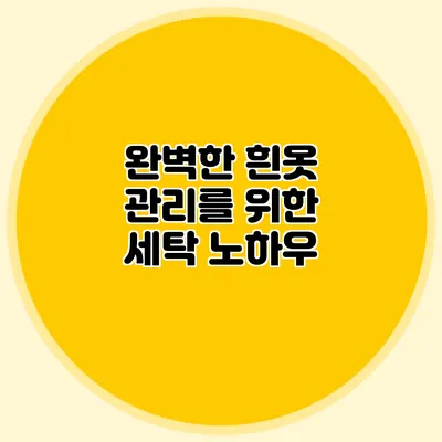 완벽한 흰옷 관리를 위한 세탁 노하우