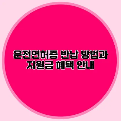 운전면허증 반납 방법과 지원금 혜택 안내