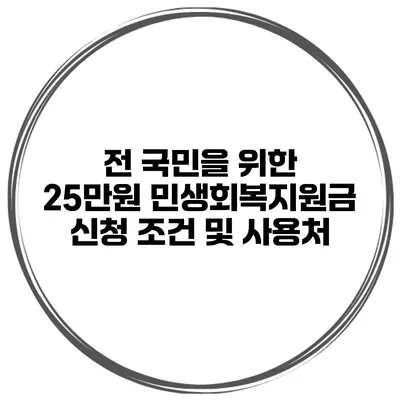 전 국민을 위한 25만원 민생회복지원금 신청 조건 및 사용처