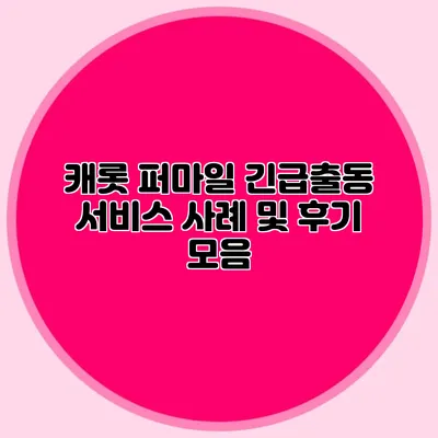 캐롯 퍼마일 긴급출동 서비스 사례 및 후기 모음