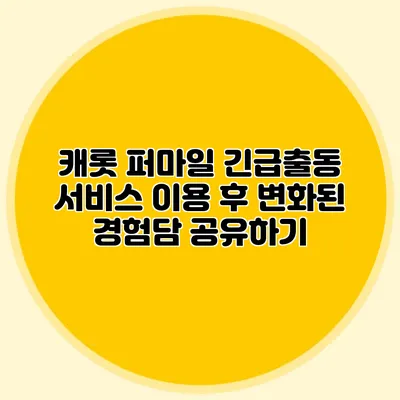 캐롯 퍼마일 긴급출동 서비스 이용 후 변화된 경험담 공유하기