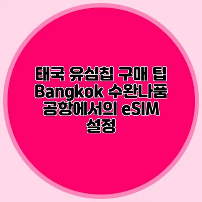 태국 유심칩 구매 팁: Bangkok 수완나품 공항에서의 eSIM 설정