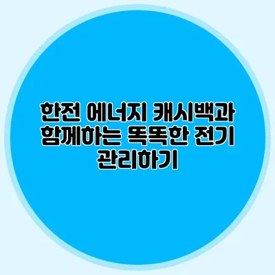 한전 에너지 캐시백과 함께하는 똑똑한 전기 관리하기