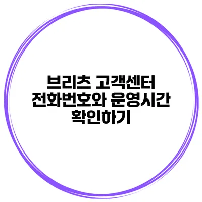 브리츠 고객센터 전화번호와 운영시간 확인하기