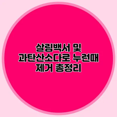 살림백서 및 과탄산소다로 누런때 제거 총정리