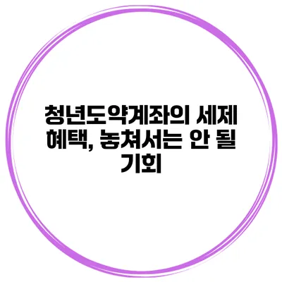 청년도약계좌의 세제 혜택, 놓쳐서는 안 될 기회